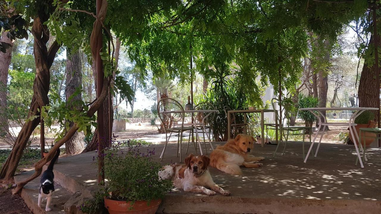 Petra - Country House Monteroni di Lecce Eksteriør billede