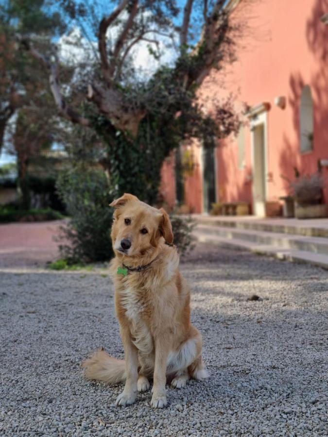 Petra - Country House Monteroni di Lecce Eksteriør billede